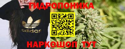 трава Берёзовский