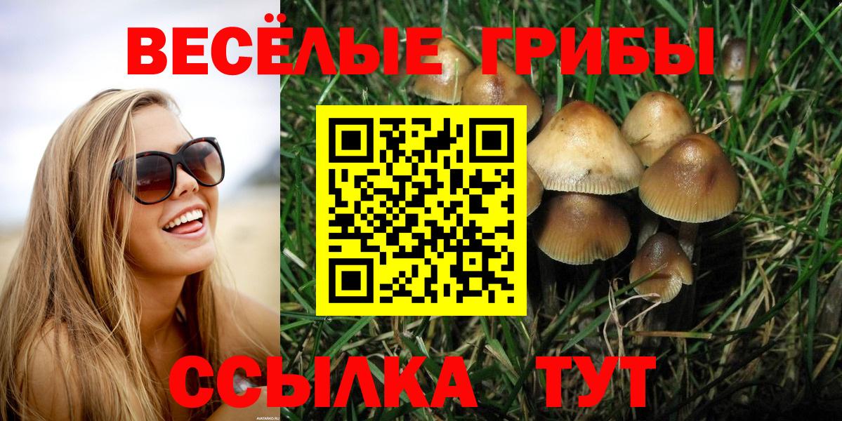 Кирово-Чепецк  Псилоцибиновые грибы ЛСД  Вход с VPN  Псилоцибиновые грибы мицелий 